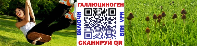 Купить закладки  Гусь-Хрустальный  Псилоцибиновые грибы Magic Shrooms 